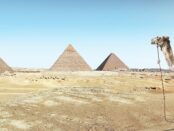 skattesystemet i egypten