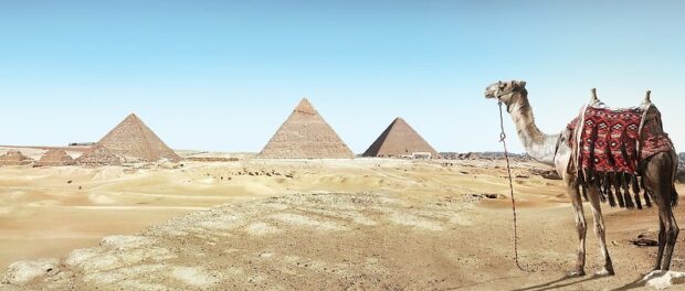 skattesystemet i egypten skattesystemet i egypten